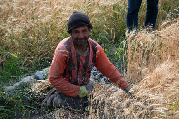 The Roof of Afghanistan Wakhan & Pamir Tour: The Untouched Beauty of Badakhshan