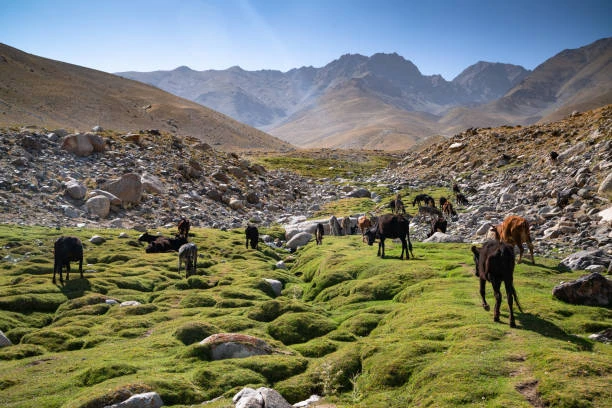 The Roof of Afghanistan Wakhan & Pamir Tour: The Untouched Beauty of Badakhshan